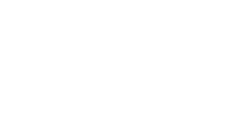 私たちは、今を生きる唐紙の文化と文様と色の世界を通じて人々の暮らしを豊かにしたいと願います。